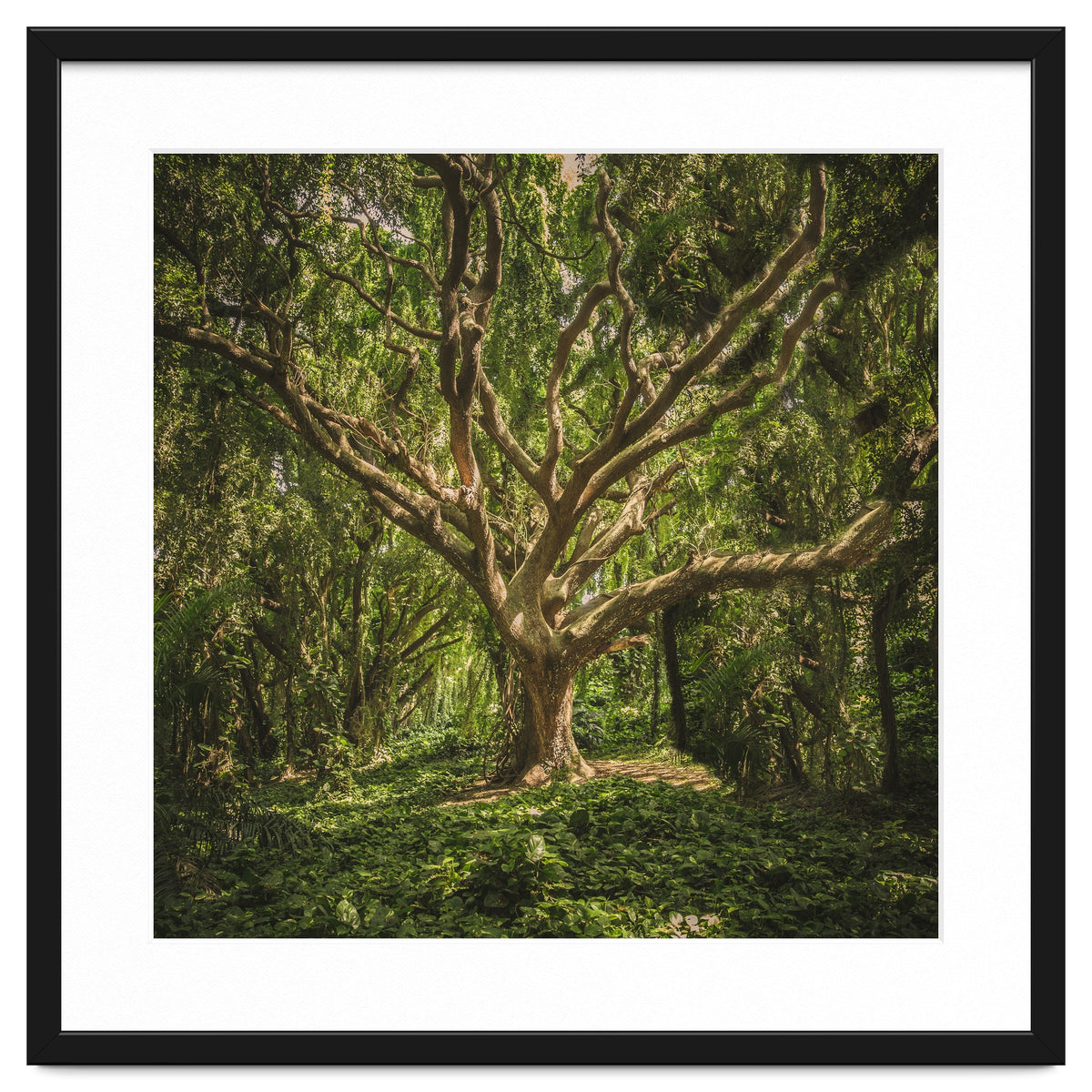 Spirits inside the wood