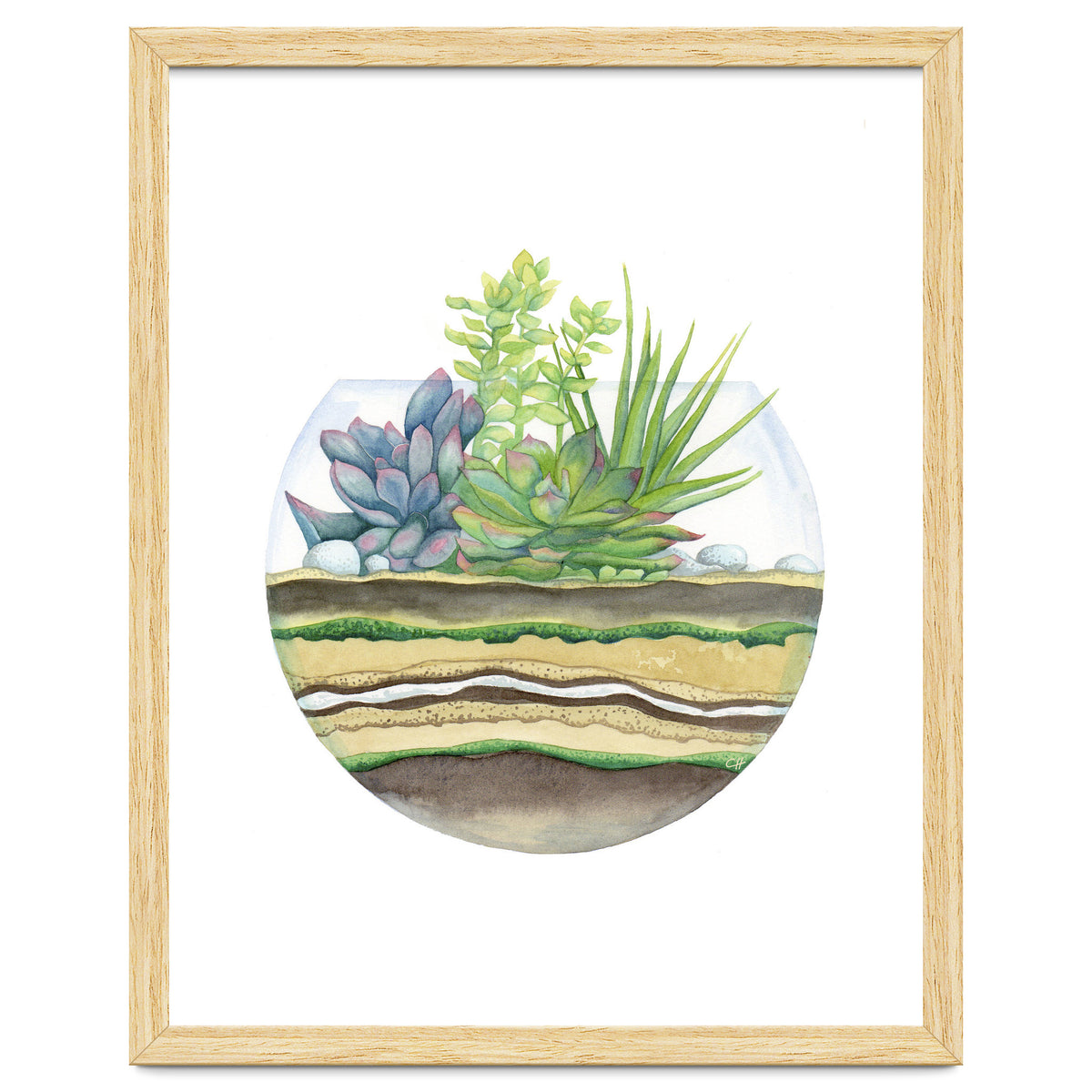 A Little Green Terrarium