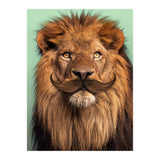 Bearded Lion (Print Only) thumbnail