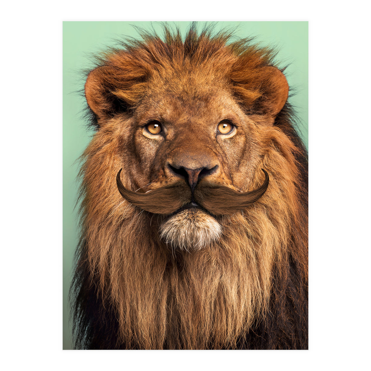 Bearded Lion (Print Only)