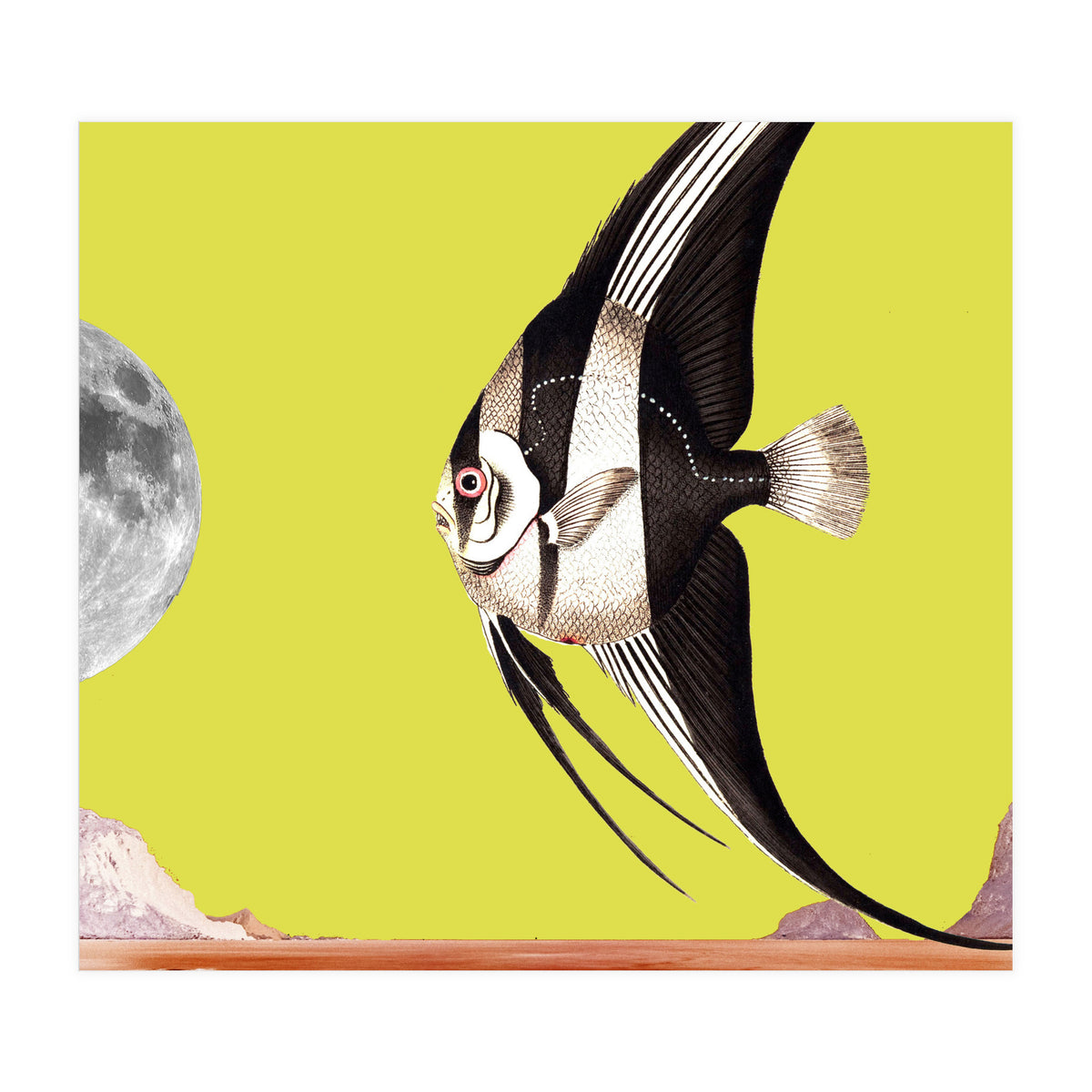 Plenty of fish in the sea yellow (Print Only)