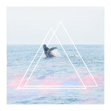 Whale of a Time (Print Only) thumbnail