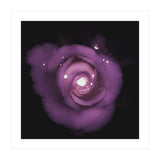 Glittering Rose (Print Only) thumbnail