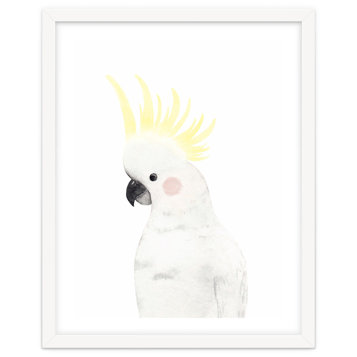 Sweet Cockatoo