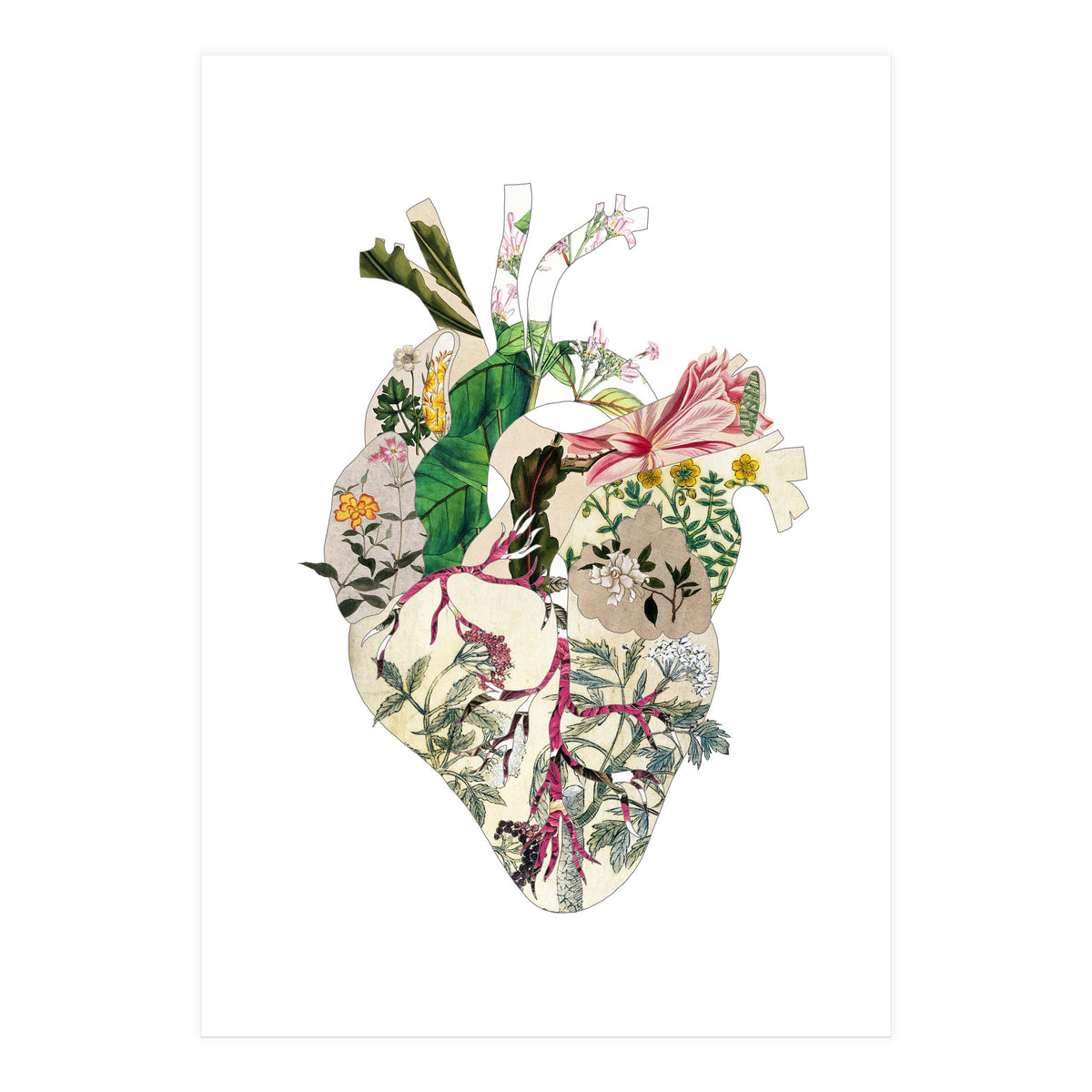 Vintage Botanical Heart (Print Only)