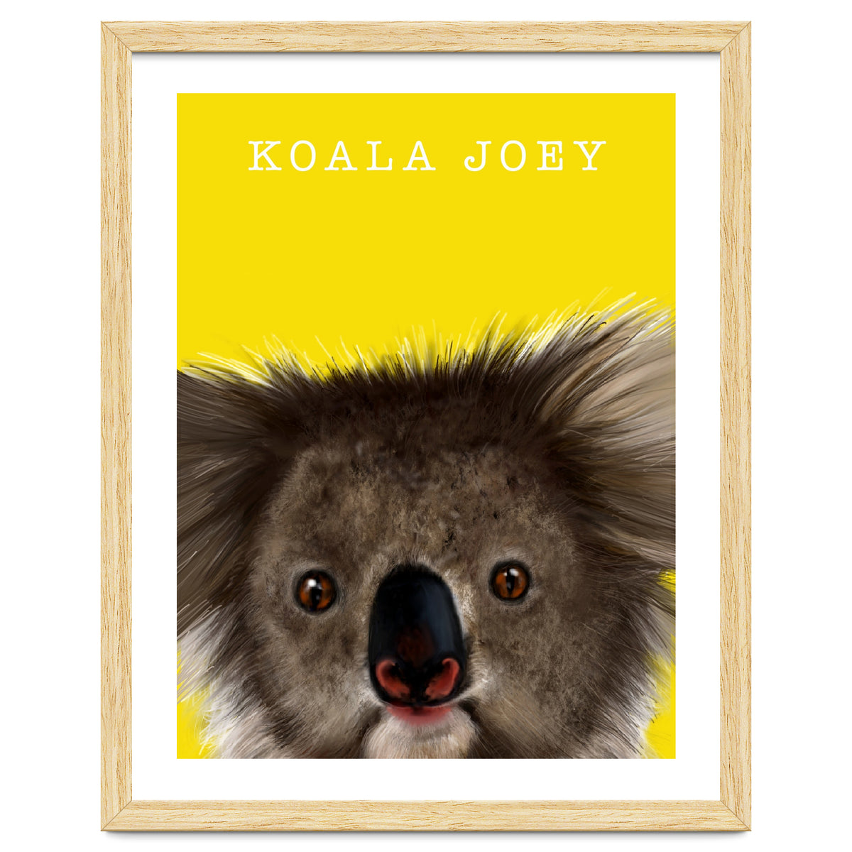 Koala Joey