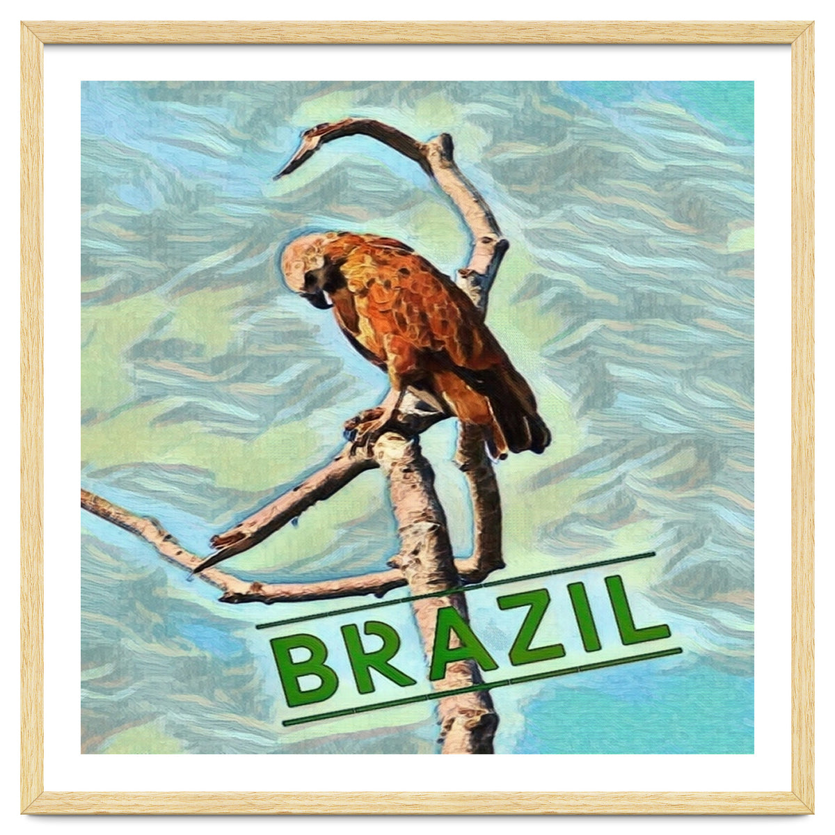 Brazilian resting Eagle