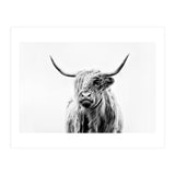 Portrait of a Highland Cow II (Print Only) thumbnail