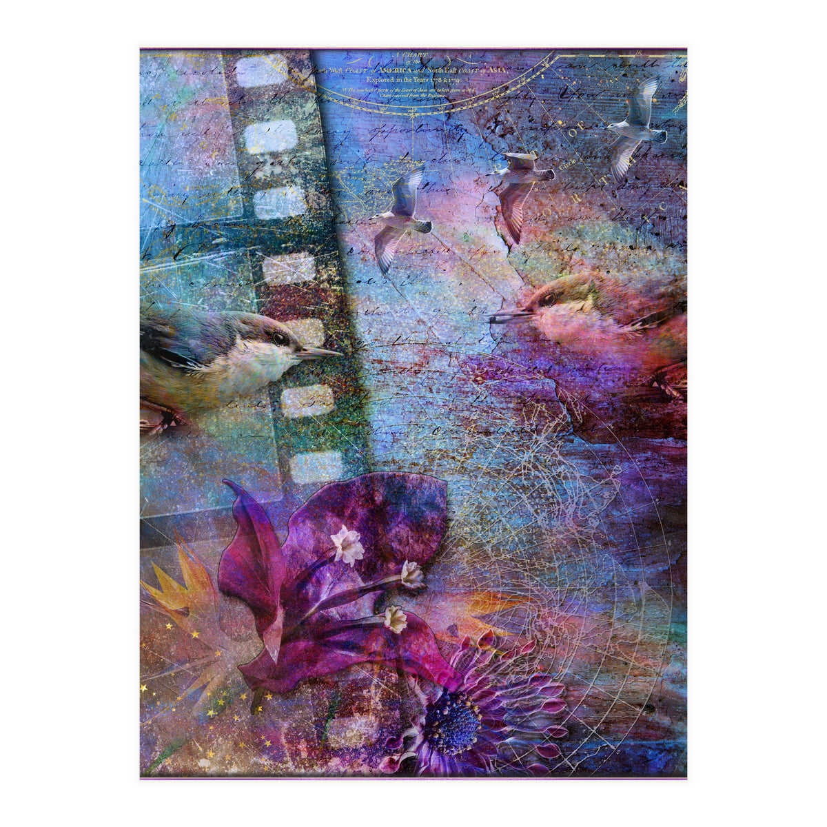 Watching the Wild World (Print Only)