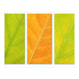 Autumn Leaves (Print Only) thumbnail