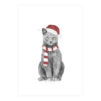 Xmas Cat (Print Only)