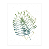 Geometry And Nature IV (Print Only) thumbnail