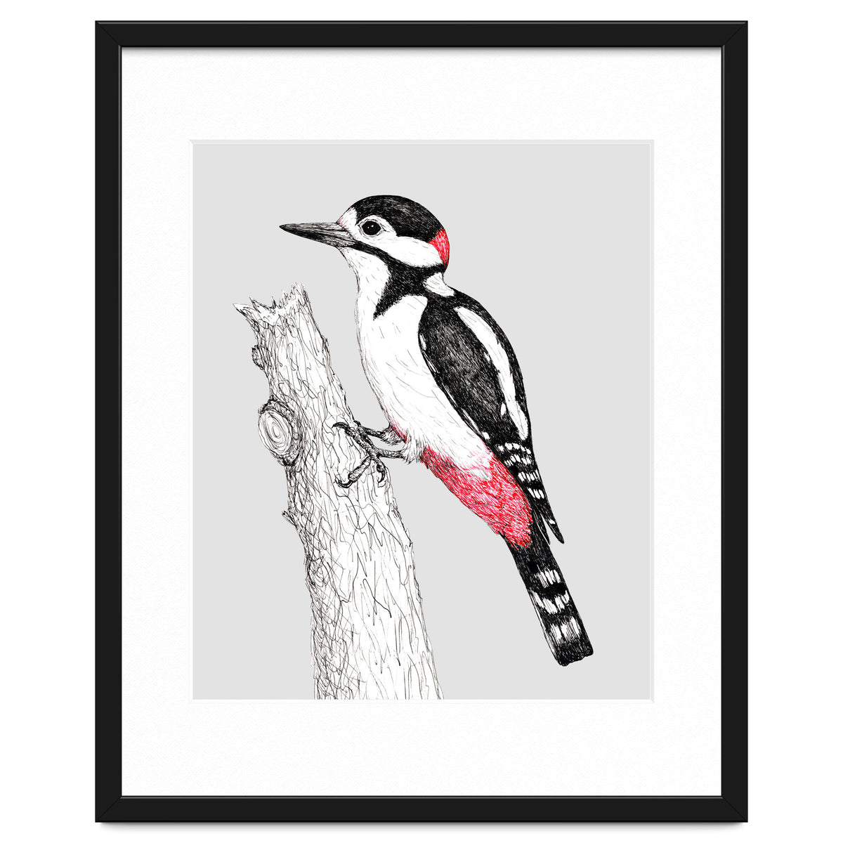 Great spotted woodpecker
