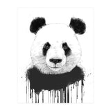 Graffiti Panda (Print Only) thumbnail