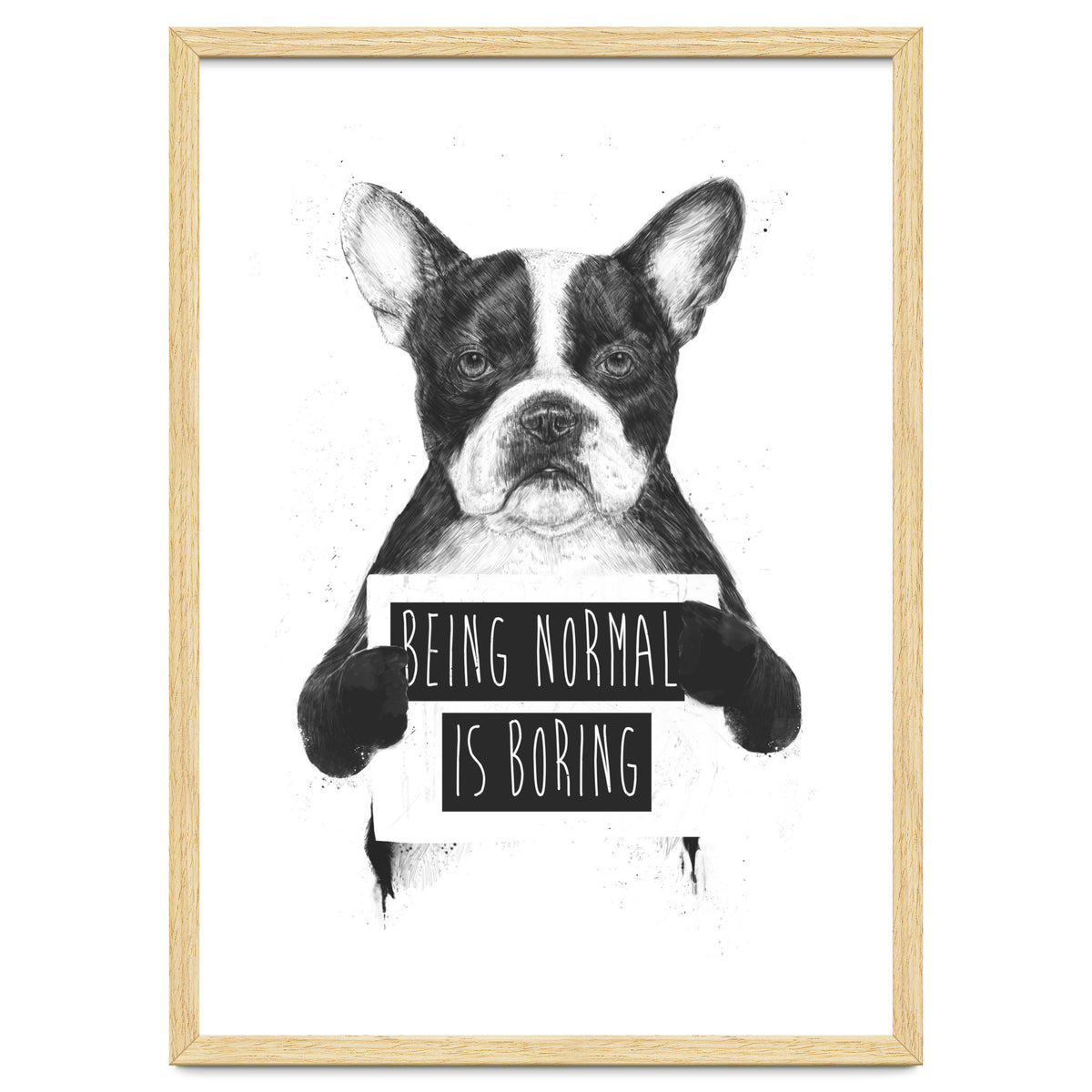 Being Normal Is Boring