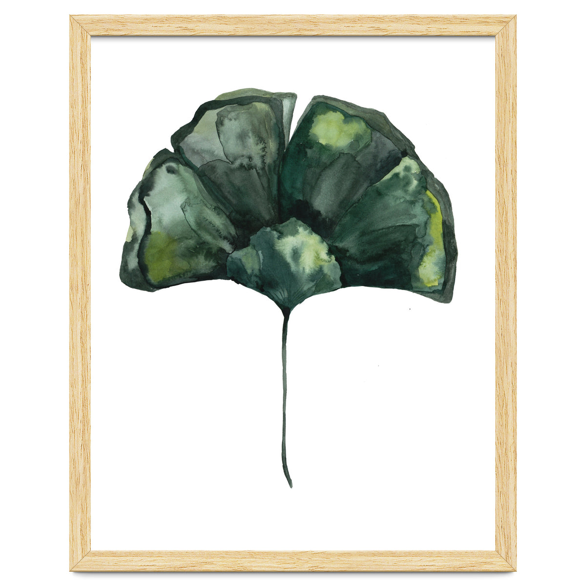 Botanical Illustration Ginko