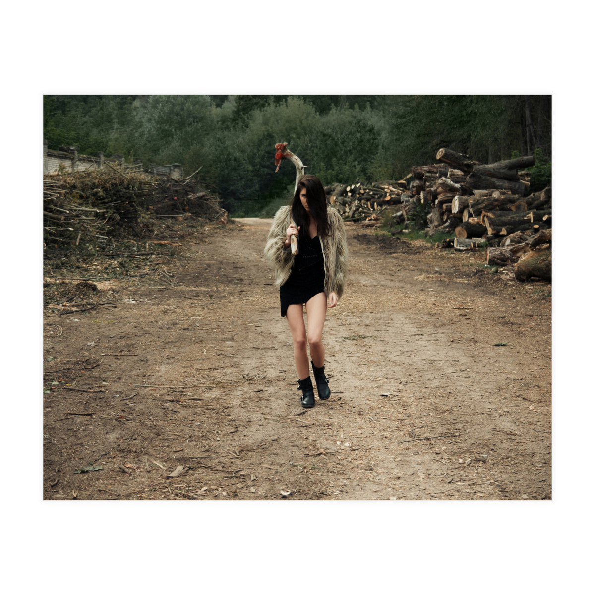 Primitive Tools (Print Only)