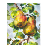Pears (Print Only) thumbnail