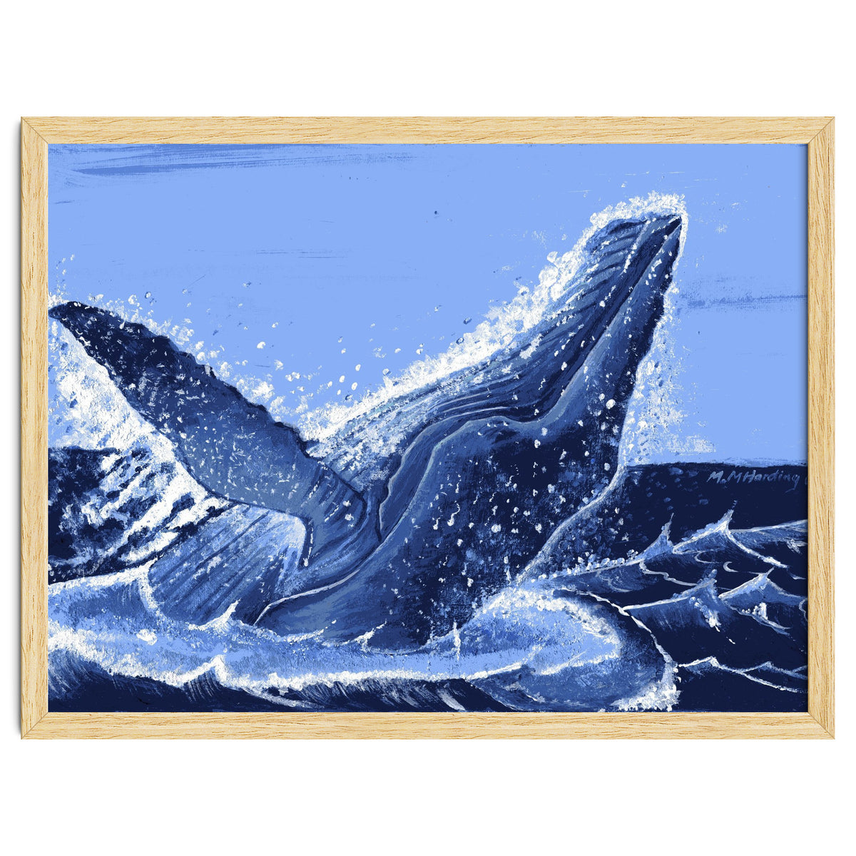 Humpback Whale Breaching