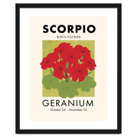 Scorpio Birth Flower Geranium