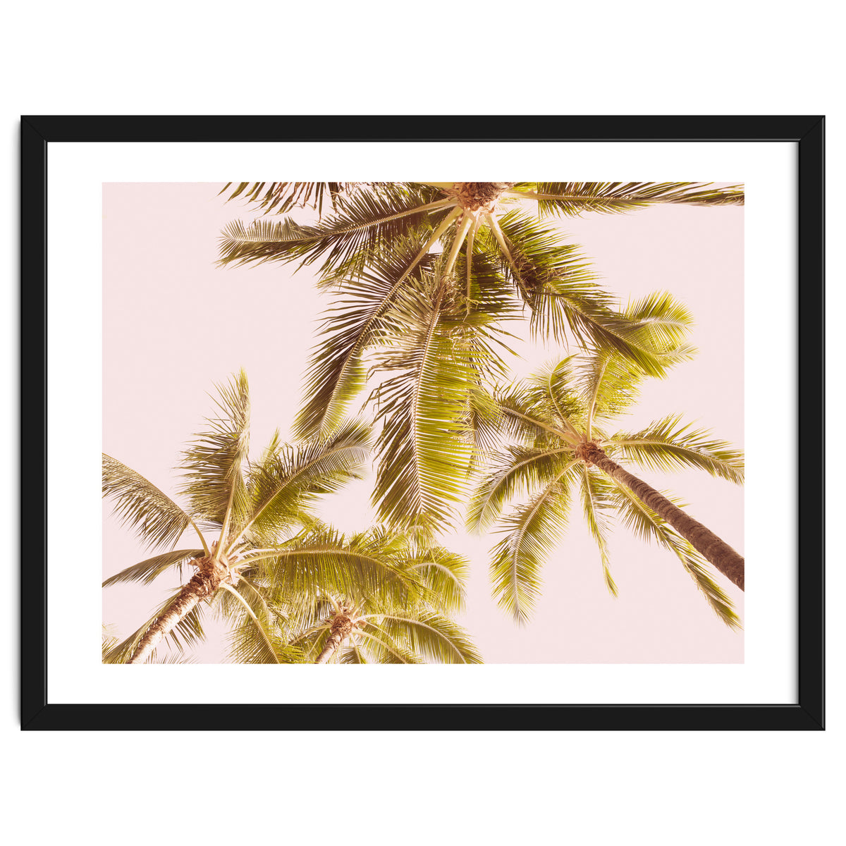 Blush Pink Boho Palm Trees