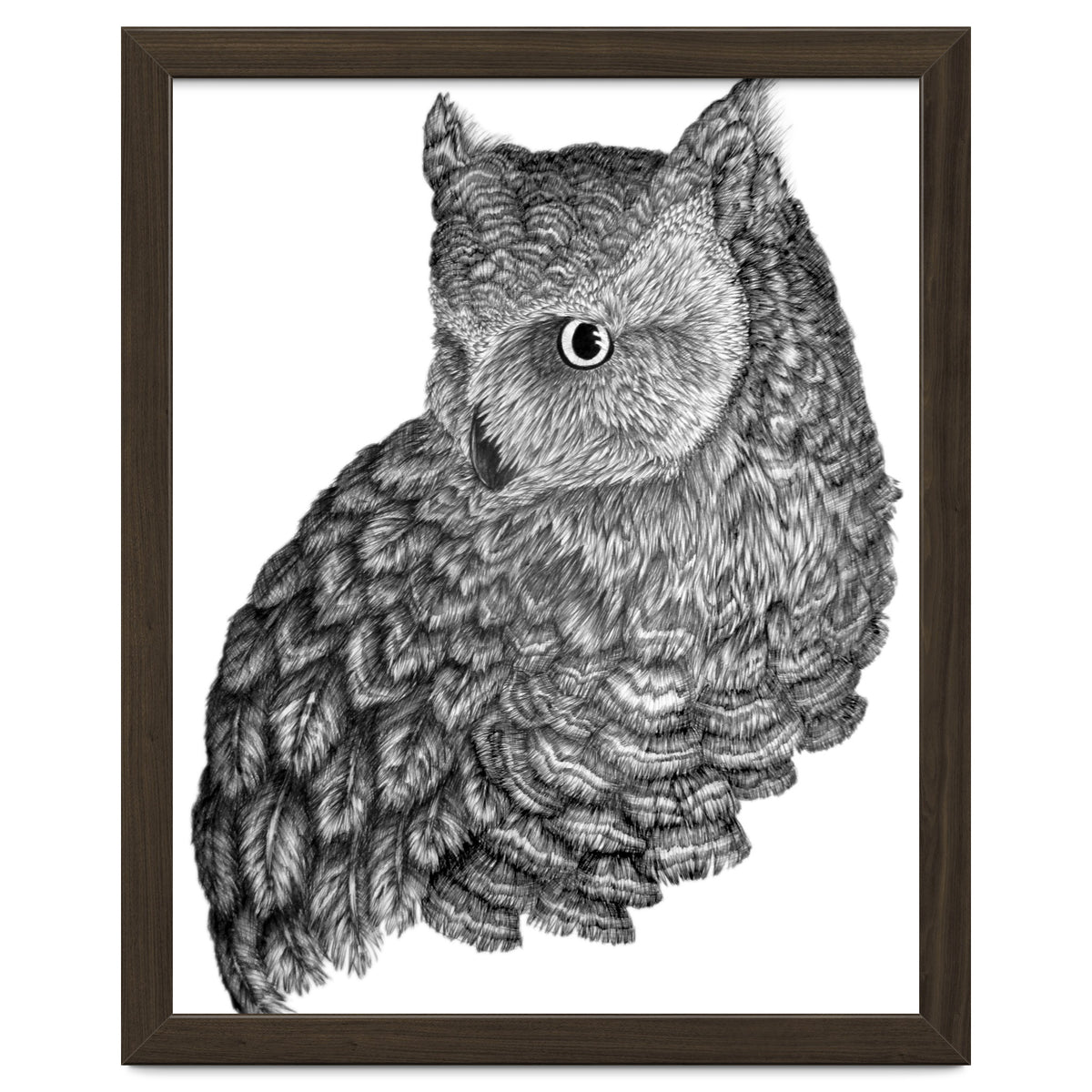 A Friend For Forsythe