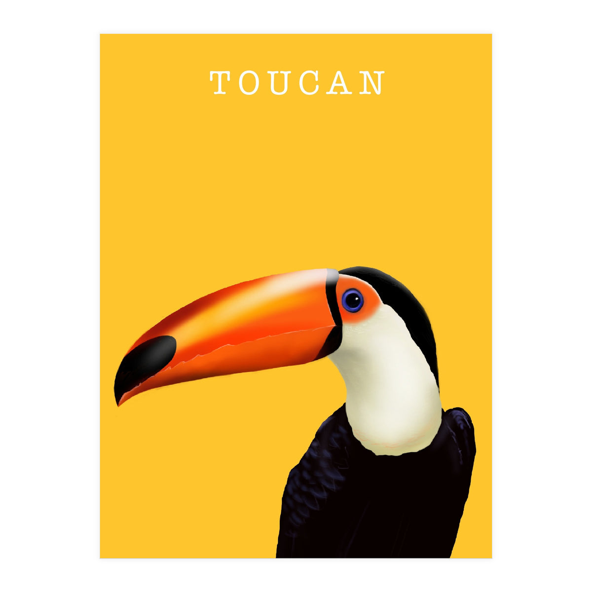 Toucan (Print Only)