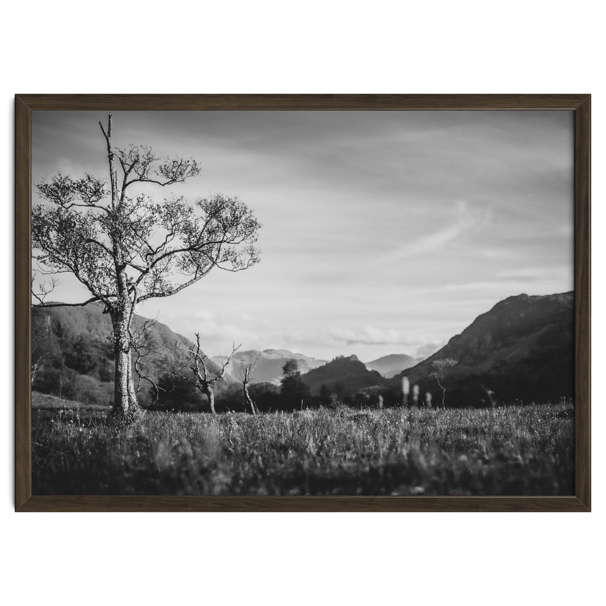 Graham Hunt Photography Landscape 10