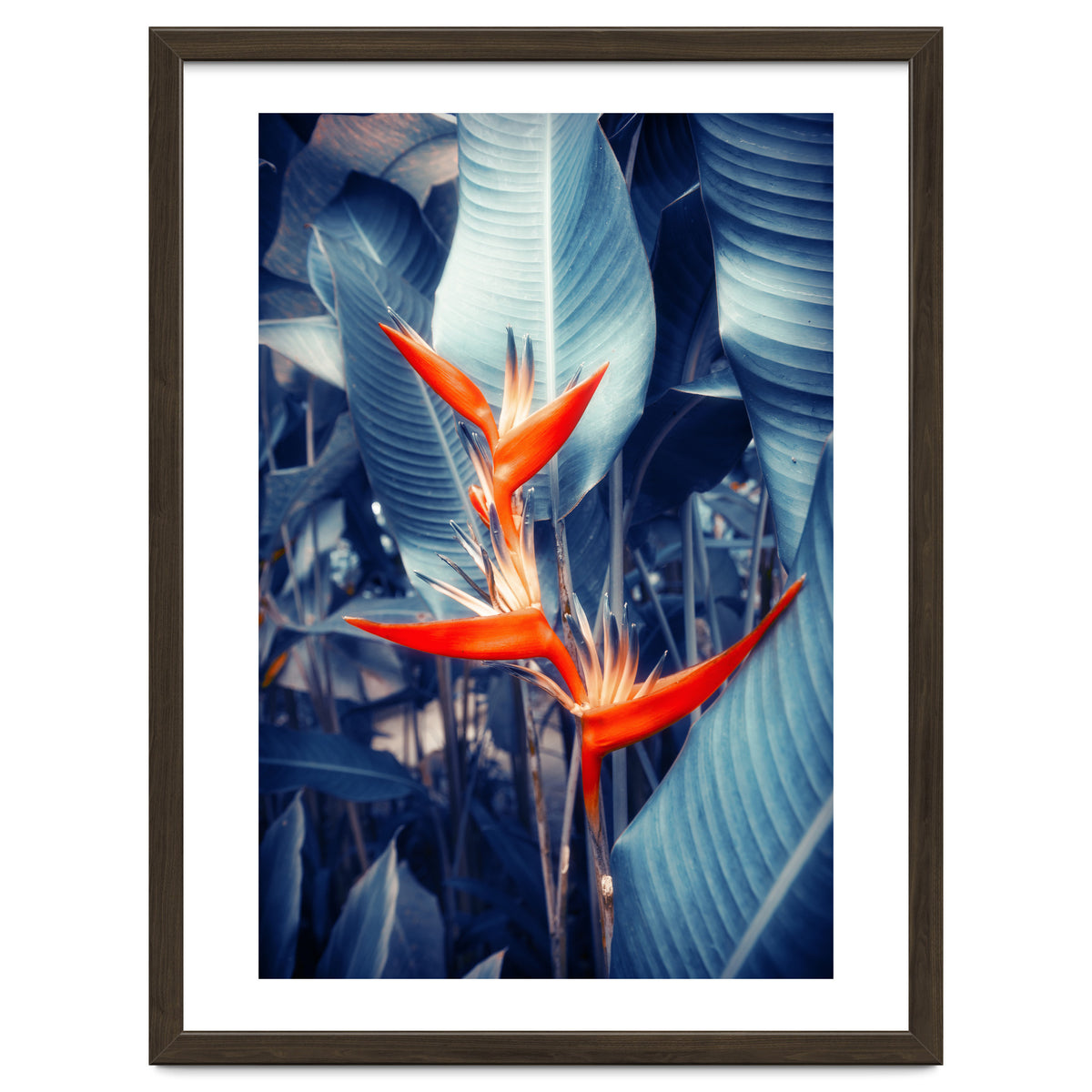 Parakeet Tropical Flower