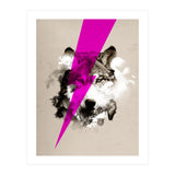 Wolf Rocks (Print Only) thumbnail