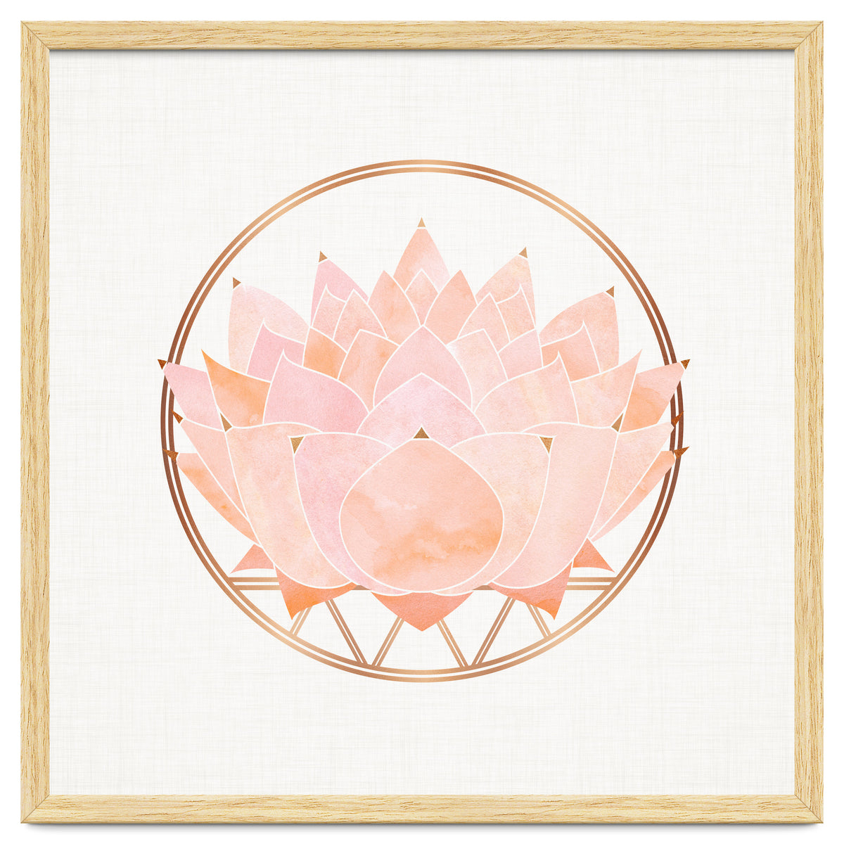 Peach Succulent  Blossom