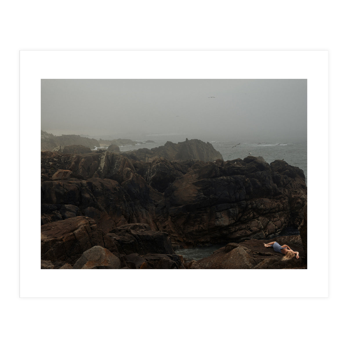 Seagull Bay (Print Only)