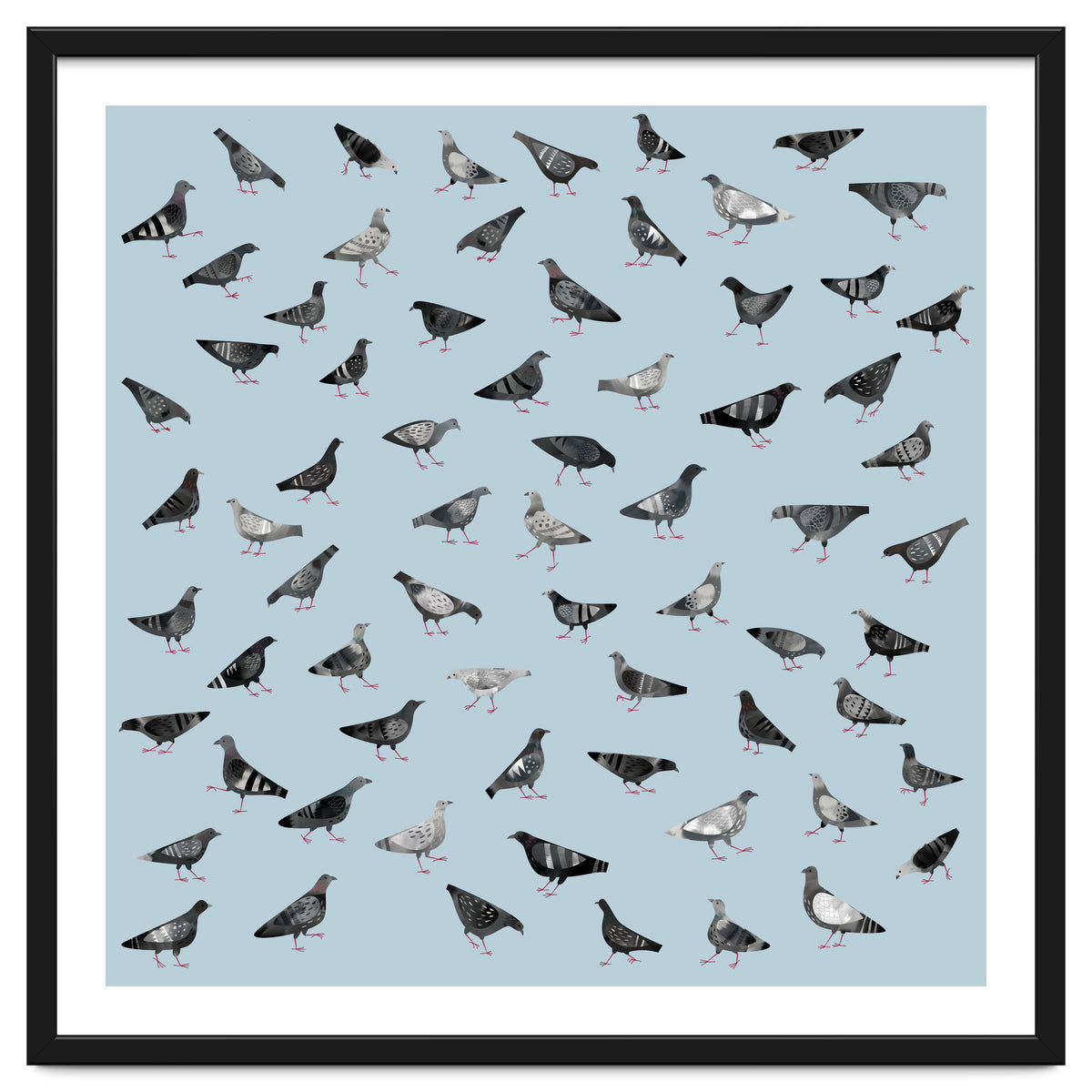 Pigeons Doing Pigeon Things