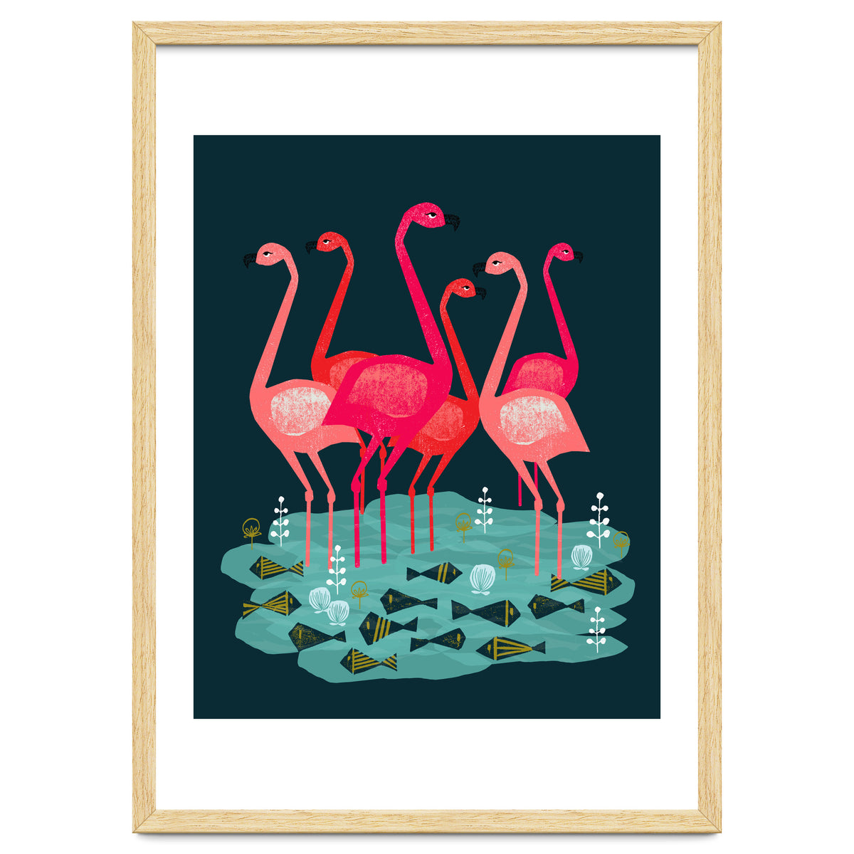 Flamingo