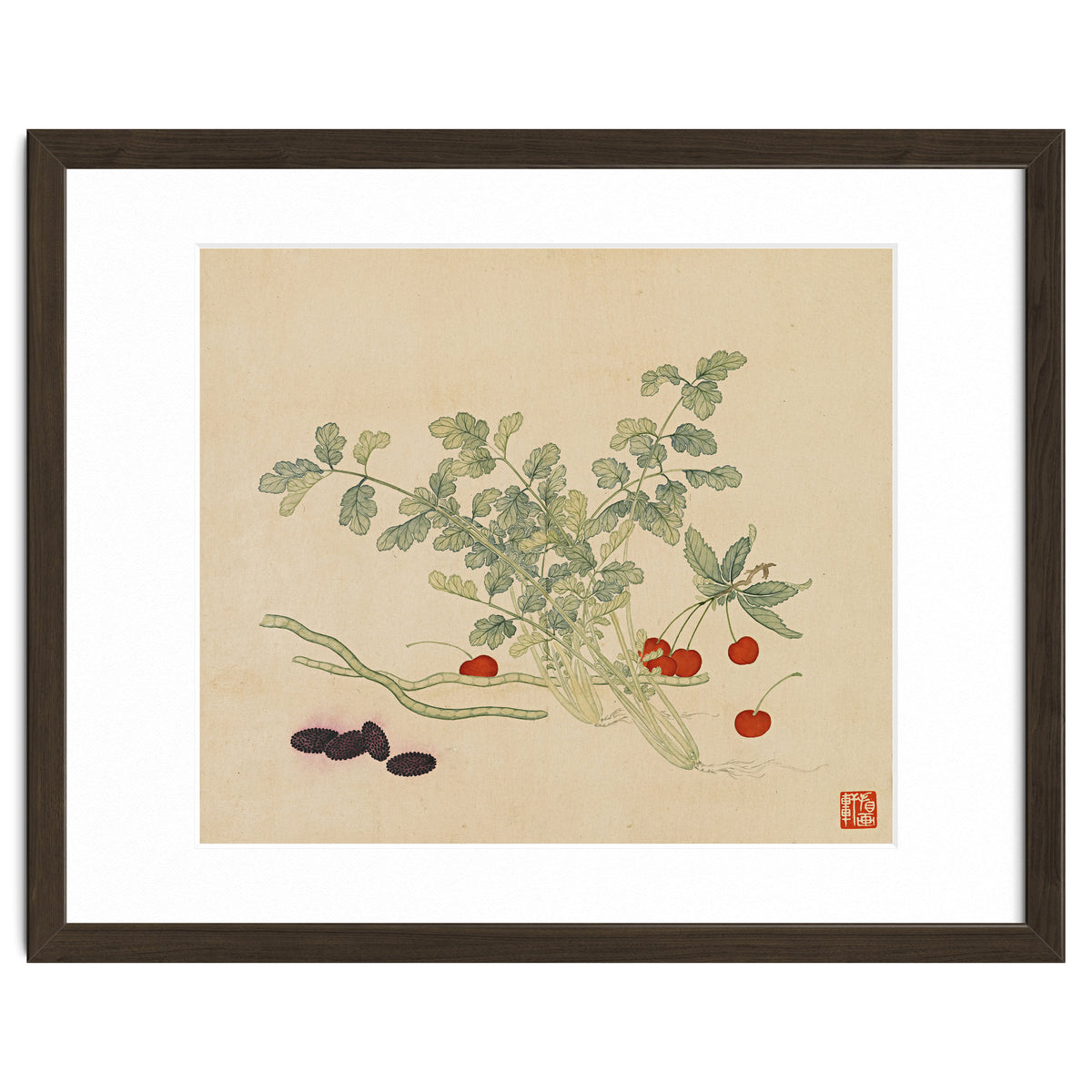 Wang Chengyu~flowers And Vegetables, Vegetables, Fruits, Beans, Red Beans, Cherries, Celery