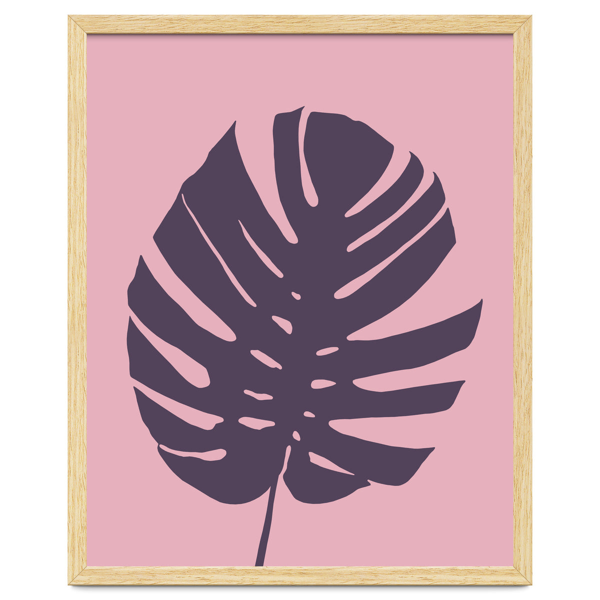 Monstera Deliciosa III