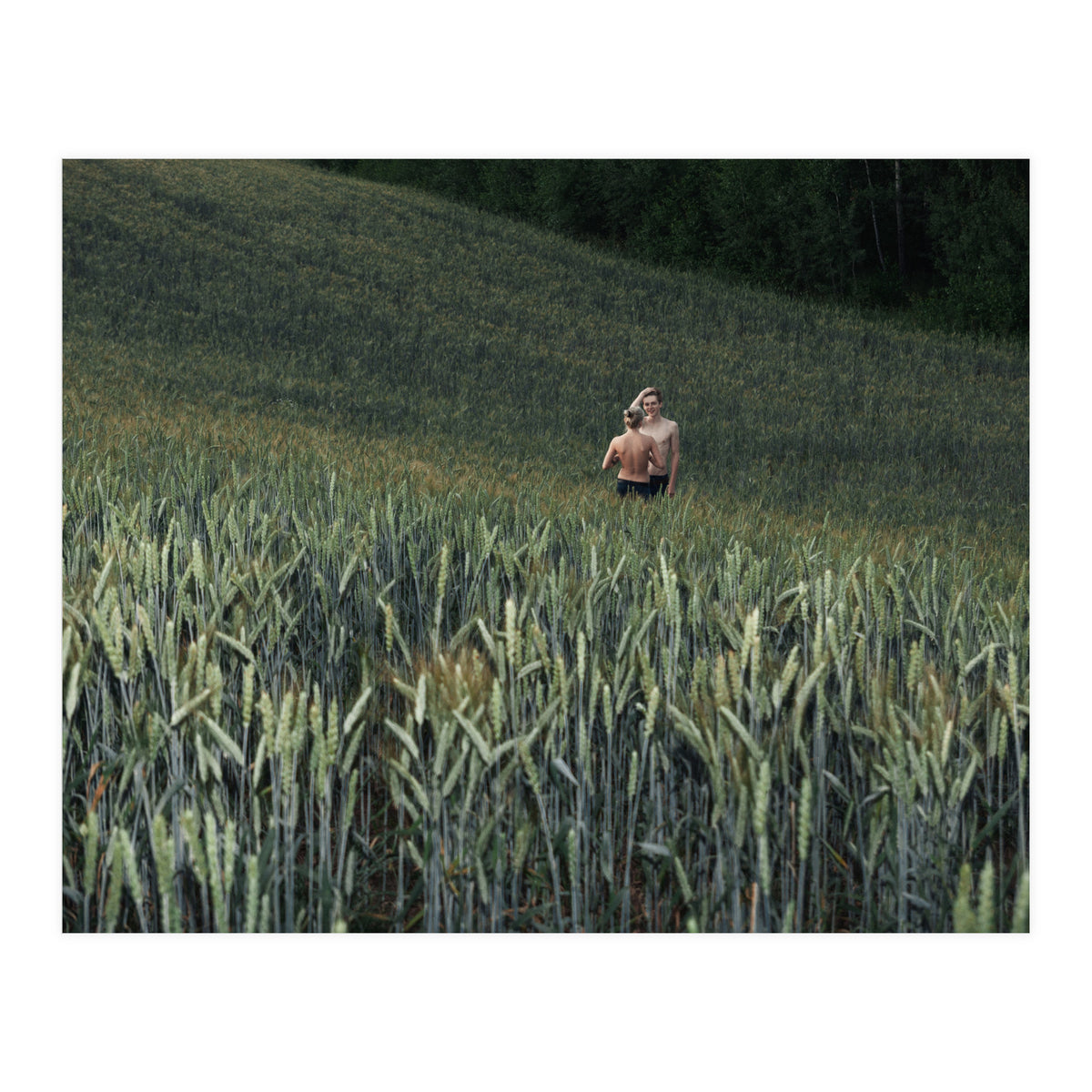 Logical Fallacy (Print Only)