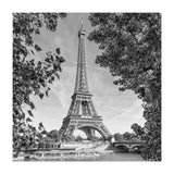 PARIS Eiffel Tower & River Seine | Monochrome (Print Only) thumbnail