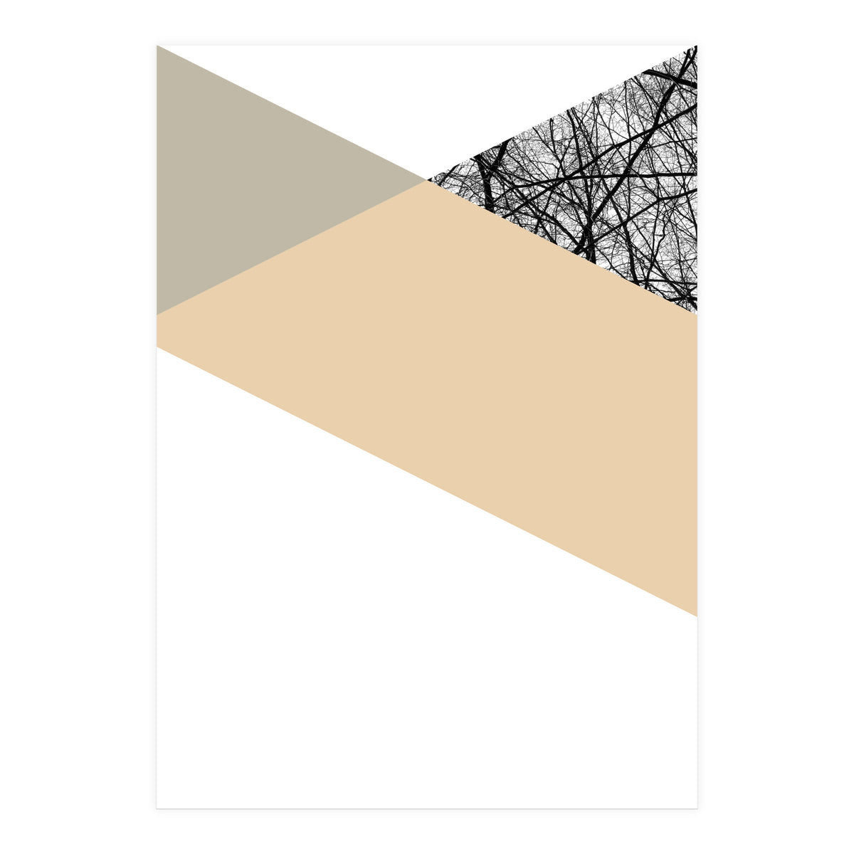 TRIWOOD IV (Print Only)