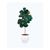 FIddle Leaf Fig gold and green (Print Only) thumbnail