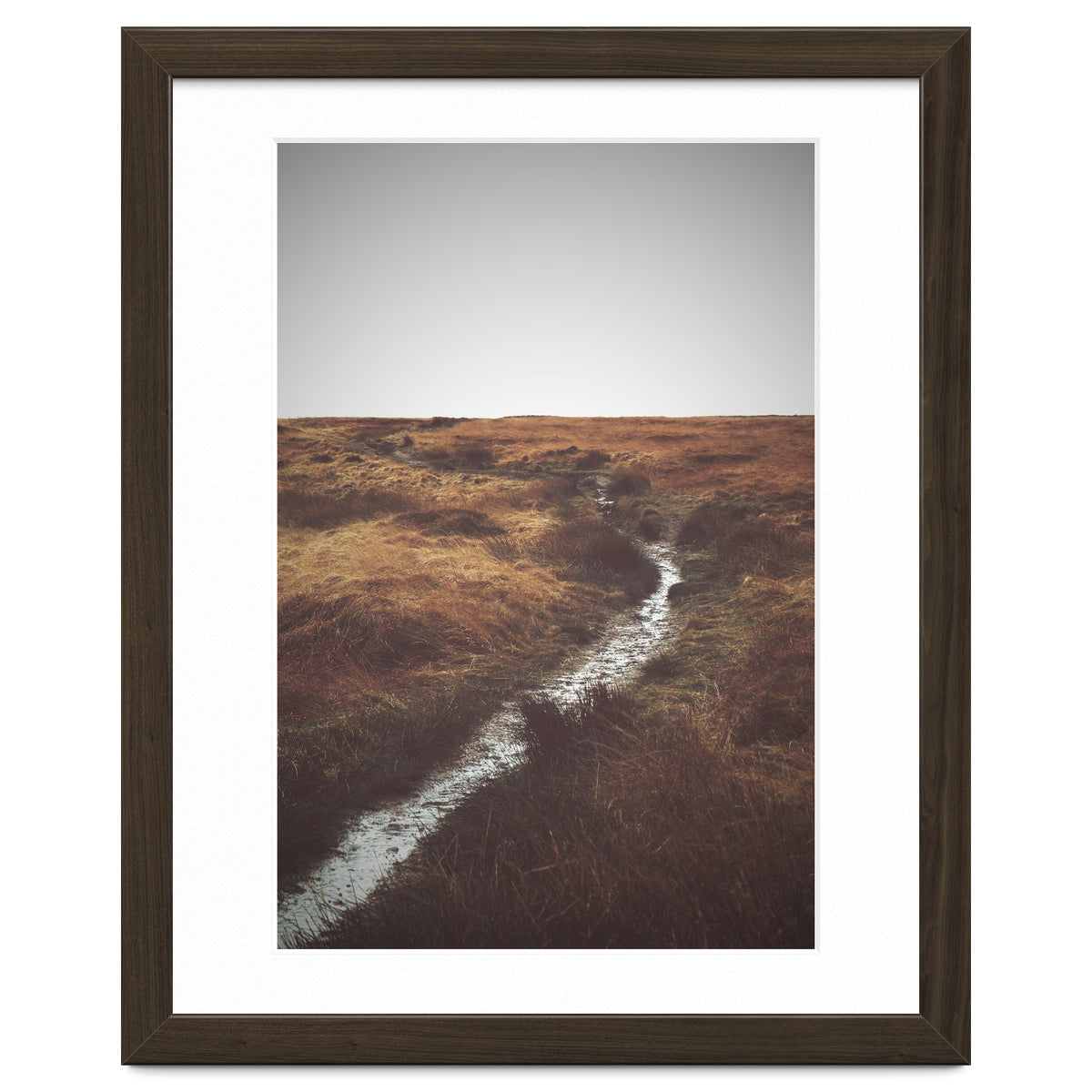 Bleak winter landscape of Saddleworth Moor