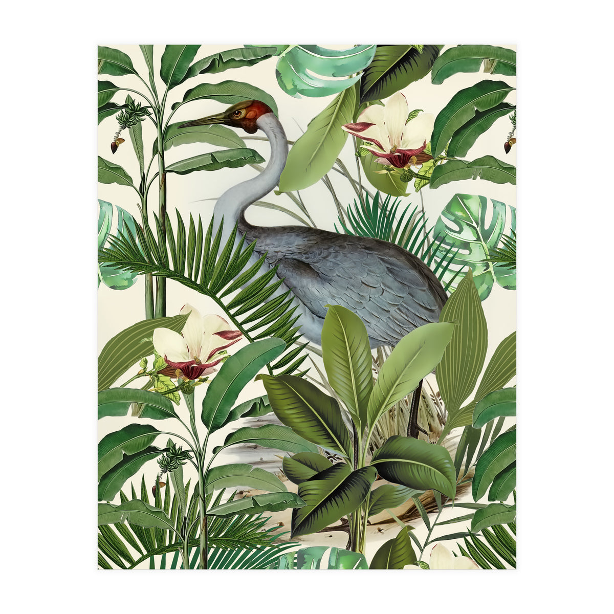 Tropical Heron (Print Only)