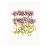 Cc Flower 02 (Print Only) thumbnail
