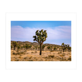 Joshua Tree (Print Only) thumbnail