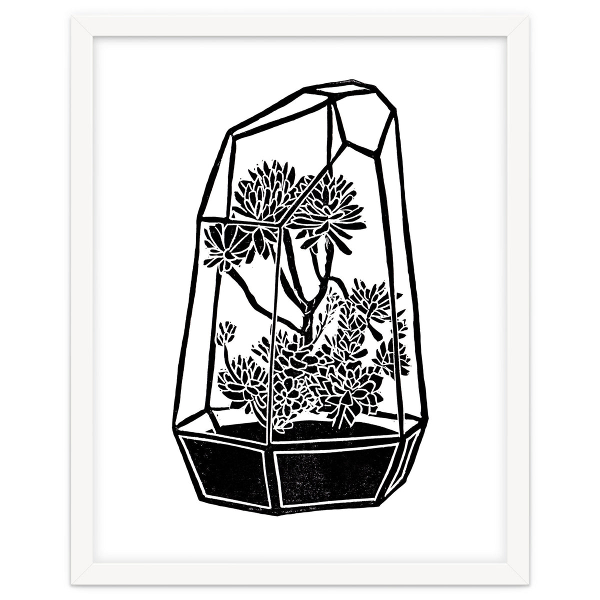 Terrarium