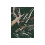 MARANTA LEAVES (Print Only) thumbnail