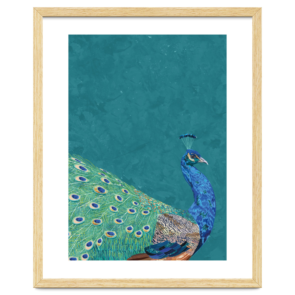 Perfect Peacock Turquoise Portrait