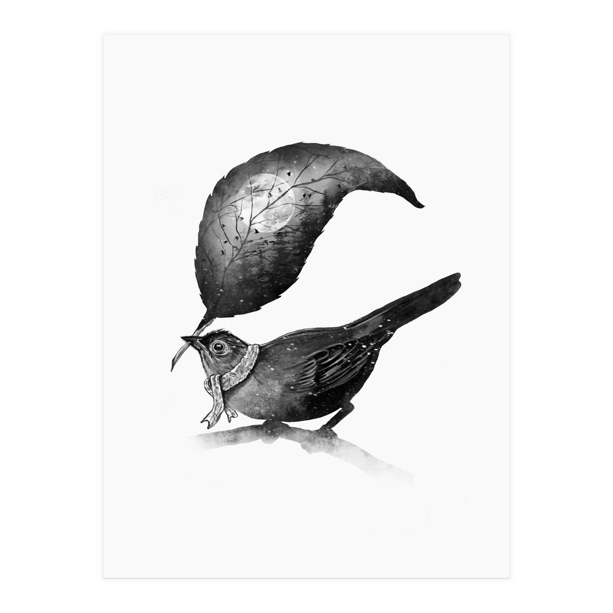 The Messenger (Print Only)