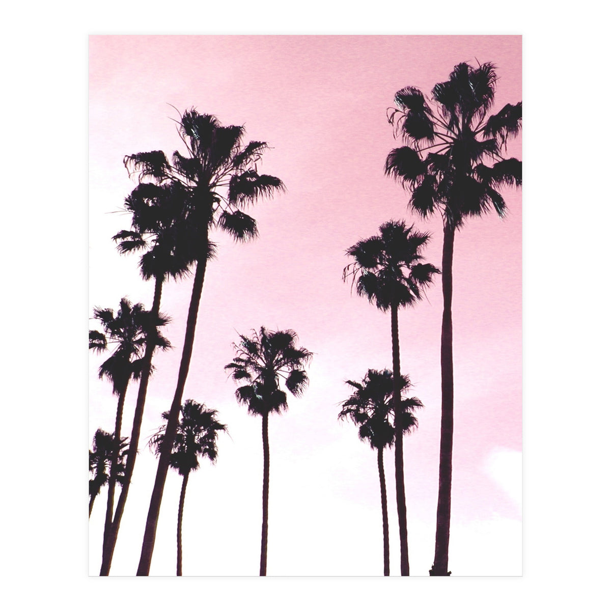 Palms & Sunset (Print Only)
