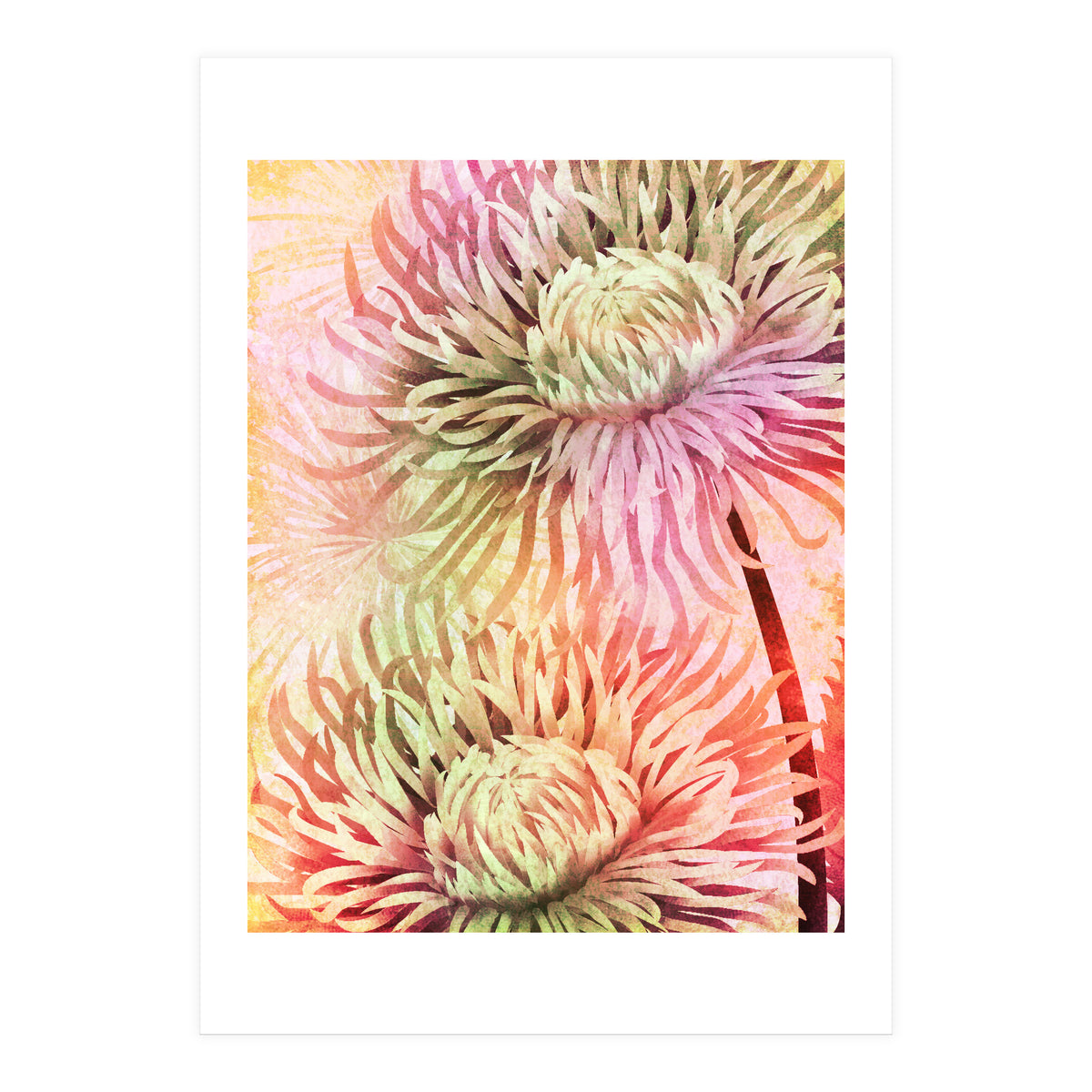 Blooming Flowers (Print Only)